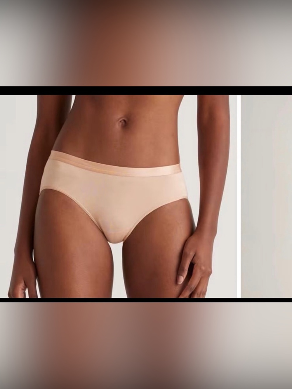 Quince Micromodal Brief (6-pack) | Large | Sand
